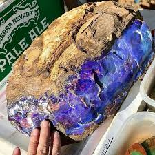 Giant Australian Opal I Saw This One In Person At Tucson Gem Show Tucson Gem Show Rocks And Gems Rocks And Minerals
