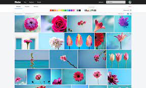 Searching photos then applying the filter ? Find Every Photo With Flickr S New Unified Search Experience Flickr Blog