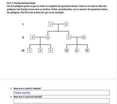 Check spelling or type a new query. Harry Potter And The Peculiar Pedigrees By Kelsey Nelson Tpt