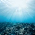 Rhythms of the Sea – Dance & Meditation