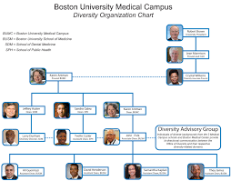 Bumc Diversity Organizational Chart School Of Medicine