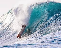 Pacific Longboarder Magazine