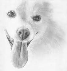 Pin On You Had Me At Woof