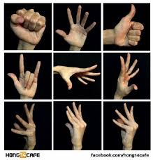 일러스트에서 많이 연출되는 손모양 손가락 표현 사진 네이버 블로그 그림 레퍼런스 스케치북 손 그리기