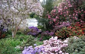 Nordic Sublime In 2020 Beautiful Gardens Garden Center Garden