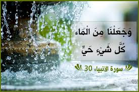 وجعلنا من الماء كل شيء حي بالتشكيل