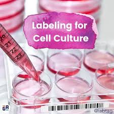 Check spelling or type a new query. Labeling For Cell Culture In 2021 Cell Transparent Labels Labels