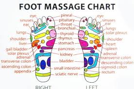 Acupuncture points on the foot. Foot Reflexology Chart Reflexology Chart Foot Massage Chart Reflexology Foot Chart