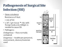 Proficiency testing (pt) is a requirement for accreditation to iso/iec 17025 and iso 15189 and we operate pt schemes across the food, beverage, environmental, clinical, pharmaceutical, consumer safety, forensic and petroleum sectors. Prevention Of Surgical Site Infections Ssi Ppt Video Online Download