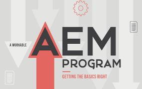 a workable aem program getting the basics right technation