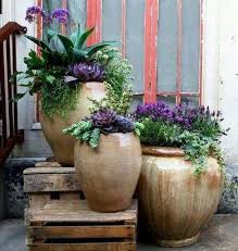 Here is the most 10 purple succulents in the world with pictures. Pin On Container And Planters