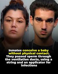 An extraordinary story has shaken the United States. In a Miami jail, Daisy  Link and Joan Depaz, two inmates, conceived a baby without any physical  contact. The man managed to pass his