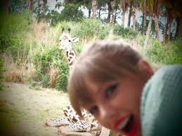 Taylor Swift screams during Sheeran ride