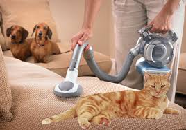 Kedi Tuyu Icin Sarjli El Supurgesi Black And Decker Suzionline