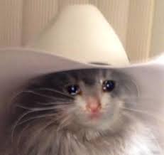 Butters is a cowboy from the wild west.send me mail!buttersp.o. Cowboy Hat Crying Cat Know Your Meme