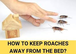 Once drawn to lights around your home, they can find ways to get inside. How To Keep Roaches Away From Bed Step By Step