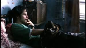 Amores Perros Foreign Language Film Perros Y Tu Mama Tambien