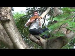 Music In Paradise David Doring Panflote Panflute Pan Flute Good Music Paradise