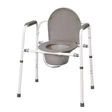 Pin On Adult Potty Chair