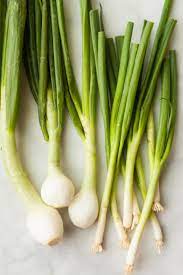 Download the perfect green onions pictures. Difference Between Scallions And Green Spring Onions Kitchn