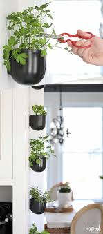 Hanging baskets and multilevel plant stands are excellent ways to add more herbs per square foot. Diy Kitchen Herb Garden Vertical Wall Garden Hanging Wall Pots Modern Herb Garden Herb Garden In Kitchen Diy Herb Garden Vertical Herb Gardens