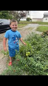 This is why I do what I do and I Love it! This spring we planted tomato  plants with our field trip kids that came out for them to take home! So  when I get pictures and updates of them it makes my ...