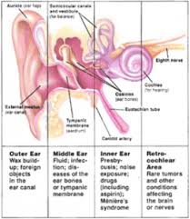 Image result for Inner Ear Decompression Sickness
