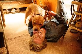 Pin On Pitbulls