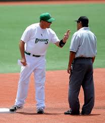 Dramatic Bushland Falcons soar to Class 2A baseball state semifinals