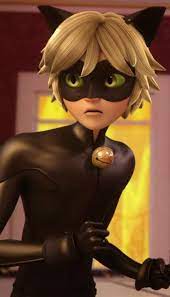 Cat Noir Miraculous Ladybug S1 Ep 14 Miraculous Ladybug Miraculous Characters Miraculous Ladybug Funny