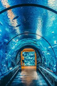 14 Unique Things To Do In Las Vegas Las Vegas Vacation Las Vegas Trip Vegas Vacation
