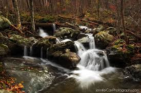 We did not find results for: White Oak Canyon Hike