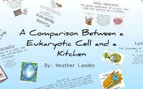 Aug 31, 2020 · the university of utah on instagram: Cell Analogy By Heather Landes