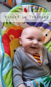 Mystery snail and white wizard care tips needed