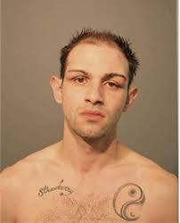 ᐅ Illinois Criminal Records 2009-2025