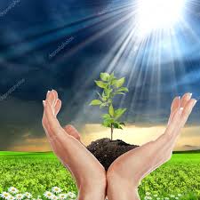 World environment day images with quotes. à¤µ à¤¶ à¤µ à¤ªà¤° à¤¯ à¤µà¤°à¤£ à¤¦ à¤µà¤¸ à¤¹ à¤¨ à¤¦ à¤• à¤œ Hindi Website Literary Web Patrika
