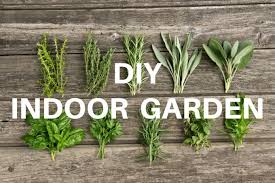 Southern gardens may benefit from late afternoon shade, whereas northern gardens likely need all the sun they can get. The Best Guide To Starting An Indoor Garden Or Simple Outside Garden