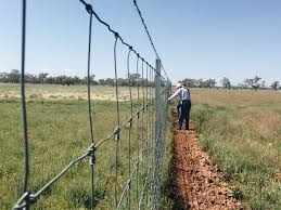 Check spelling or type a new query. Exclusion Fencing Brings Multiple Outcomes To Landcare Farming Moffitts Farm