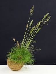 Each works with a passion to give that one on one service you can't find anywhere else. 520 Faux Grasses Ideas Faux Grass Artificial Grass Grass