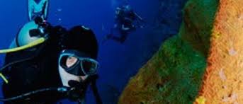 Scuba Diving In Cozumel With Dressel Divers
