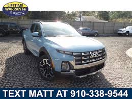 Image result for Blue Stone 2022 Santa Cruz