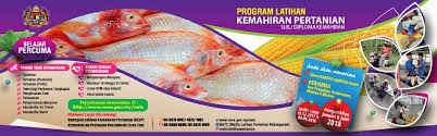 Berikut adalah panduan berkaitan permohonan kemasukan politeknik sesi 2021/ 2022. Program Latihan Kemahiran Pertanian Kebangsaan Plkpk Ø§Ù„ØµÙØ­Ø© Ø§Ù„Ø±Ø¦ÙŠØ³ÙŠØ© ÙÙŠØ³Ø¨ÙˆÙƒ