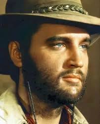 Out with Domino in Sunland CA USA