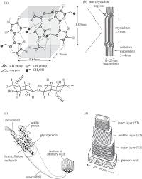 We did not find results for: The Hierarchical Structure And Mechanics Of Plant Materials Journal Of The Royal Society Interface