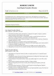 They schedule regular meetings with their board directors to discuss. Deputy Executive Director Resume Samples Qwikresume
