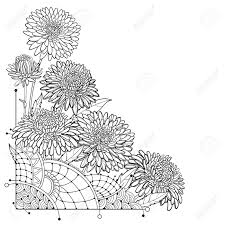 Asters both images are from a 1903 ferry seed catalogue. Corner Bouquet With Outline Aster Flower Ornate Leaves And Bud Royalty Free Cliparts Vectors And Stock Illustration Image 108467507