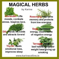 4 Spices And Herbs For Diabetes Magic Herbs Magickal Herbs Magical Herbs