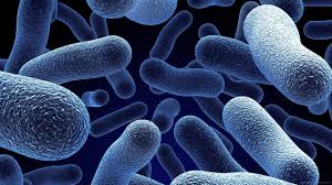Beat Bad Microbes - Raising awareness of antibiotic resistance in Rwanda  through design - Commonwealth Pharmacist Association
