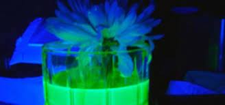 We did not find results for: Prank Your Friends With Radioactive Looking Mutant Plants That Glow Under Black Light Mad Science Wonderhowto