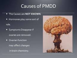 Many of the medications used address the body's hormonal activity through suppression of ovulation, whereas. Pin On Pmdd